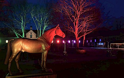 Warendorfer Frühlingslichter