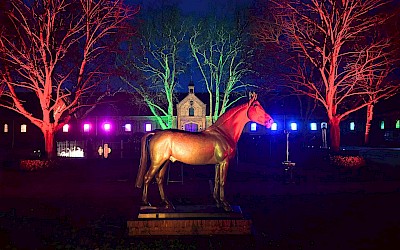 Warendorfer Frühlingslichter