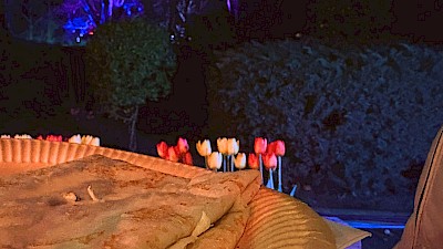 Foto 2 zu Warendorfer Frühlingslichter