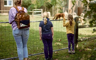Tiere zuschauen auf dem Hof Löbke