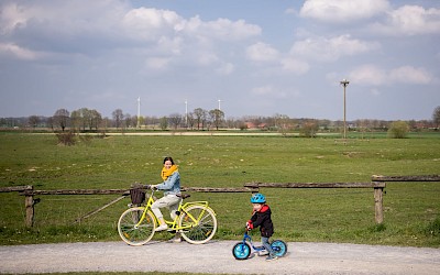 Steveraue in Olfen