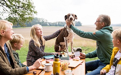 Picknick in Nordkirchen im NSG Ichterloh.