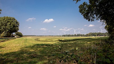 Ländliche Idylle bei Wettringen